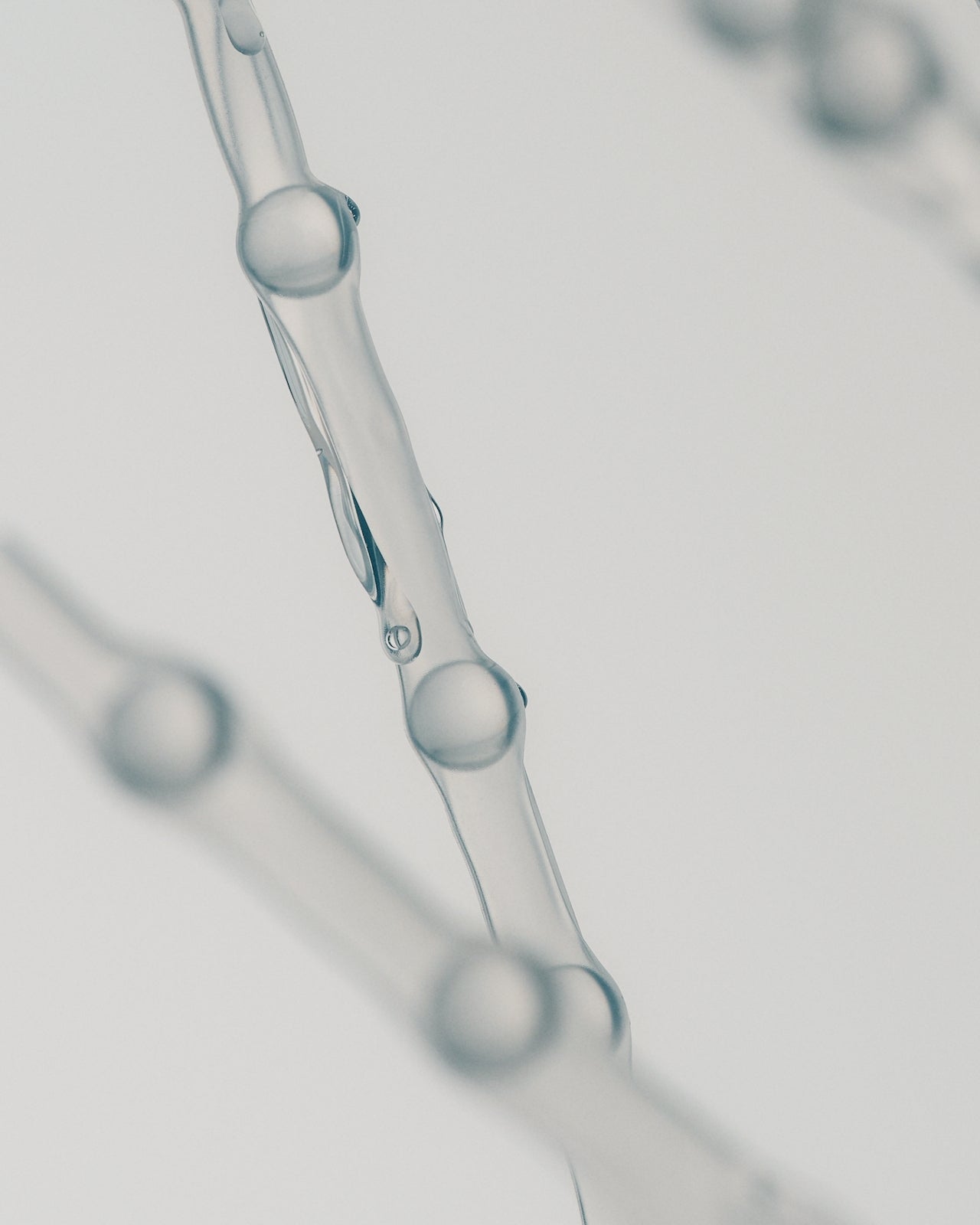 C'est quoi un tribiotique ?